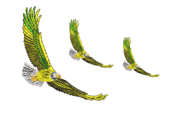 Reviewing Birds Embroidery Design for Gifts