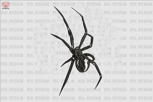 Spider Embroidery for Boutique Apparel